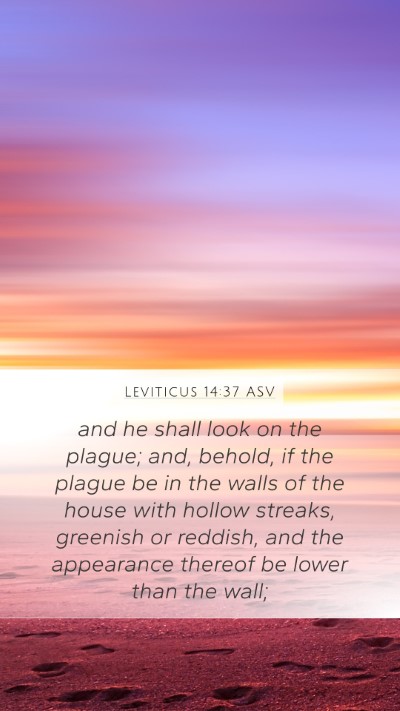 Leviticus 14:37 ASV Mobile Phone Wallpaper - and he shall look on the plague; and, behold, if - Mobile Bible Verse Wallpaper