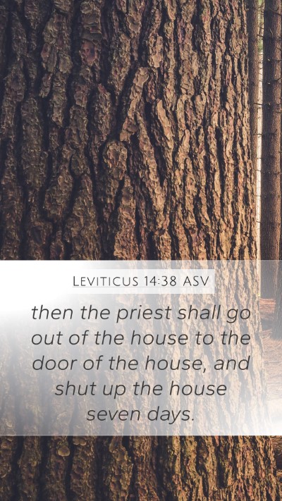 Leviticus 14:38 ASV Mobile Phone Wallpaper - then the priest shall go out of the house to the - Mobile Bible Verse Wallpaper