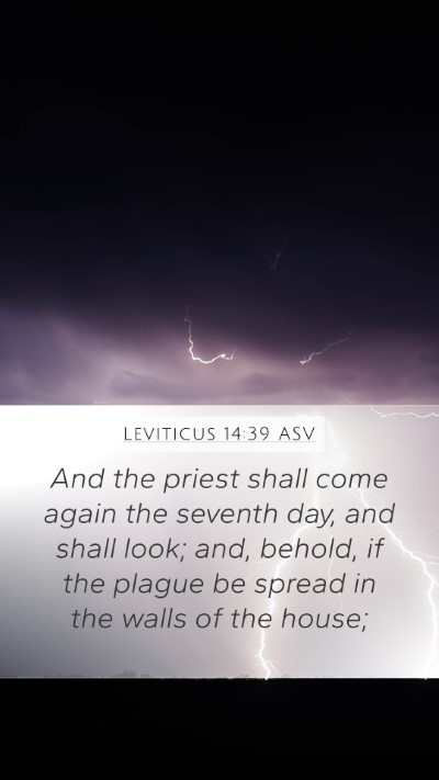 Leviticus 14:39 ASV Mobile Phone Wallpaper - And the priest shall come again the seventh day, - Mobile Bible Verse Wallpaper