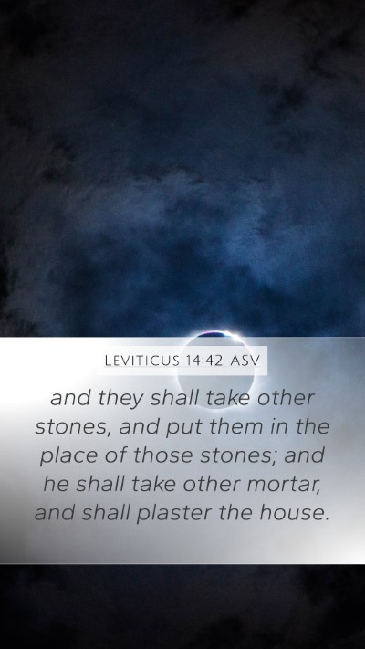Leviticus 14:42 ASV Mobile Phone Wallpaper - and they shall take other stones, and put them in - Mobile Bible Verse Wallpaper