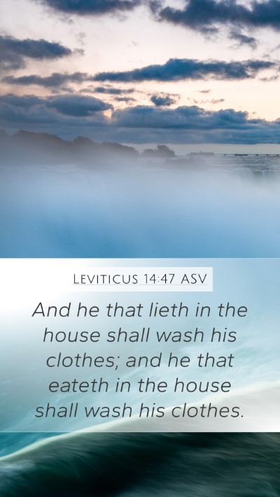 Leviticus 14:47 ASV Mobile Phone Wallpaper - And he that lieth in the house shall wash his - Mobile Bible Verse Wallpaper
