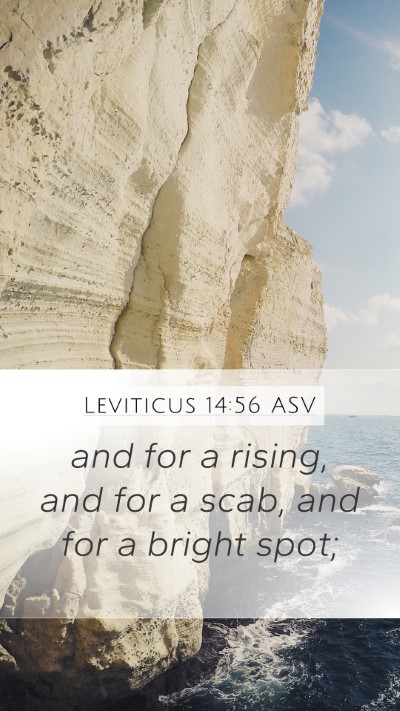Leviticus 14:56 ASV Mobile Phone Wallpaper - and for a rising, and for a scab, and for a - Mobile Bible Verse Wallpaper