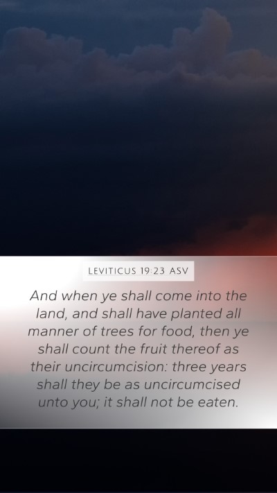 Leviticus 19:23 ASV Bible Verse Image