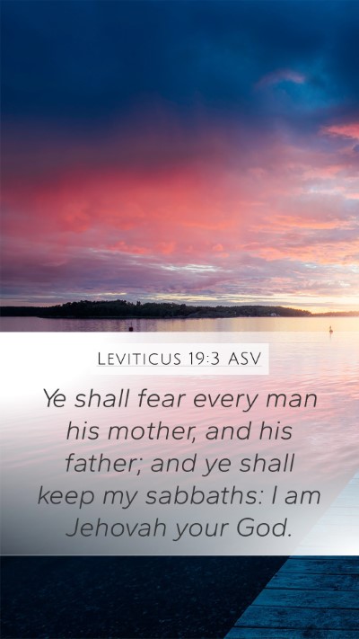 Leviticus 19:3 ASV Bible Verse Image