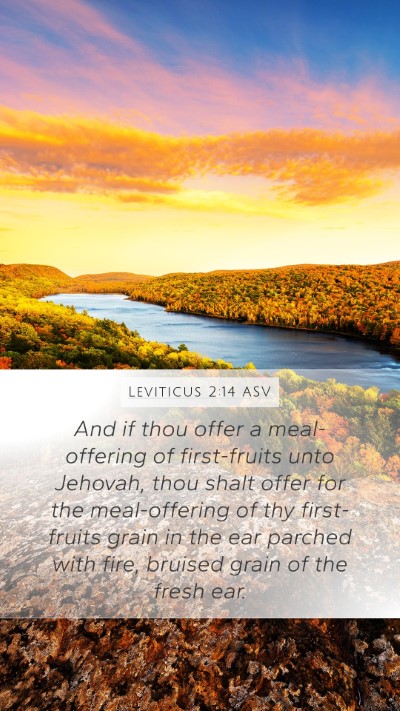 Leviticus 2:14 ASV Bible Verse Image