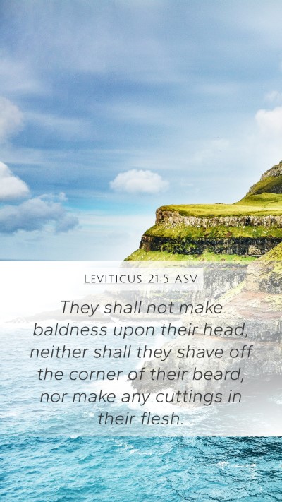 Leviticus 21:5 ASV Bible Verse Image