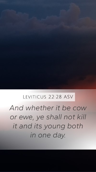 Leviticus 22:28 ASV Mobile Phone Wallpaper - And whether it be cow or ewe, ye shall not kill - Mobile Bible Verse Wallpaper