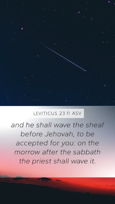 Leviticus 23:11 ASV Mobile Phone Wallpaper - and he shall wave the sheaf before Jehovah, to be - Mobile Bible Verse Wallpaper