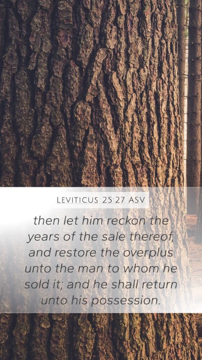 Leviticus 25:27 ASV Bible Verse Image