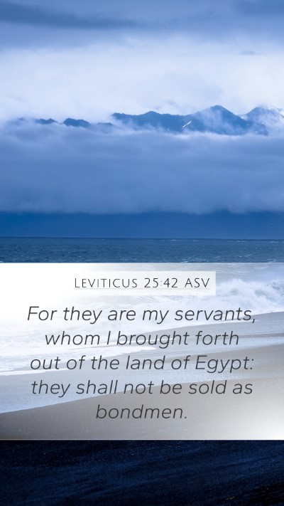 Leviticus 25:42 ASV Bible Verse Image