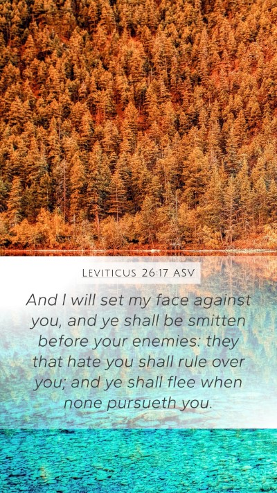 Leviticus 26:17 ASV Bible Verse Image