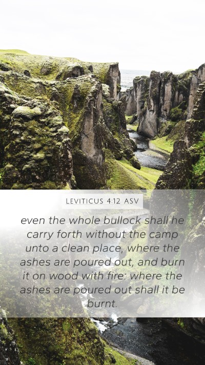 Leviticus 4:12 ASV Bible Verse Image