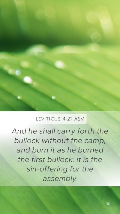 Leviticus 4:21 ASV Bible Verse Image