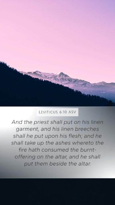 Leviticus 6:10 ASV Bible Verse Image