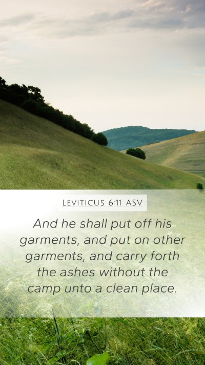 Leviticus 6:11 ASV Mobile Phone Wallpaper - And he shall put off his garments, and put on - Mobile Bible Verse Wallpaper