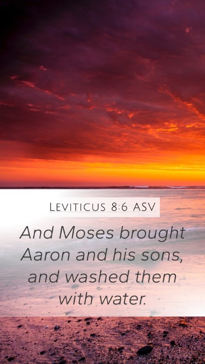Leviticus 8:6 ASV Bible Verse Image