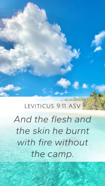 Leviticus 9:11 ASV Bible Verse Image