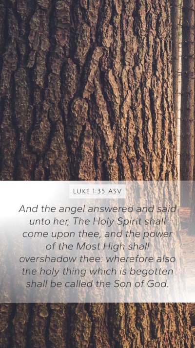 Luke 1:35 ASV Bible Verse Image