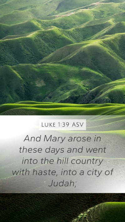 Luke 1:39 ASV Bible Verse Image