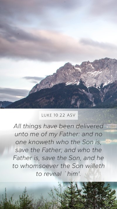 Luke 10:22 ASV Bible Verse Image