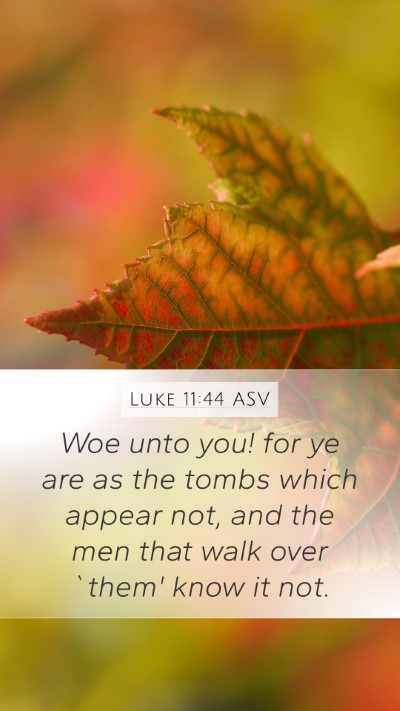 Luke 11:44 ASV Bible Verse Image