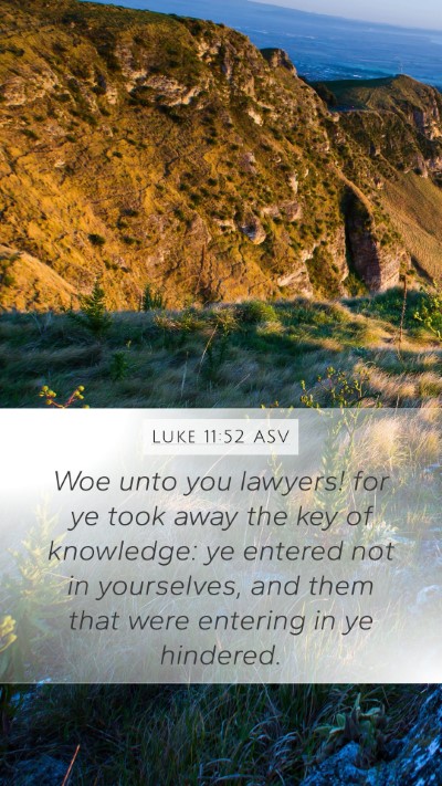 Luke 11:52 ASV Bible Verse Image
