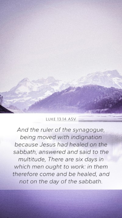Luke 13:14 ASV Bible Verse Image