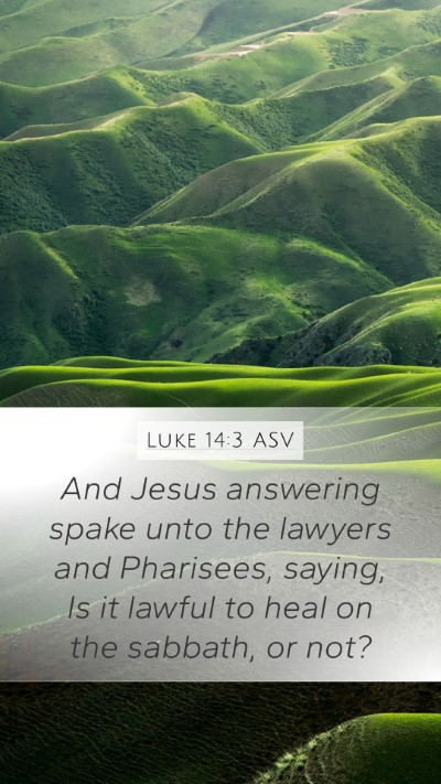 Luke 14:3 ASV Bible Verse Image