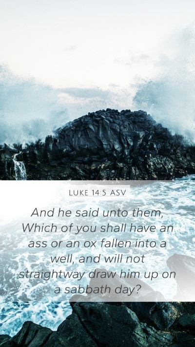 Luke 14:5 ASV Bible Verse Image
