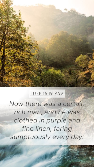 Luke 16:19 ASV Bible Verse Image