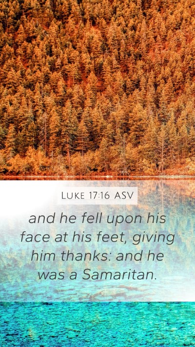Luke 17:16 ASV Bible Verse Image