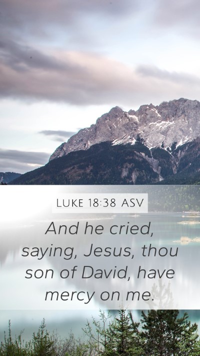 Luke 18:38 ASV Bible Verse Image