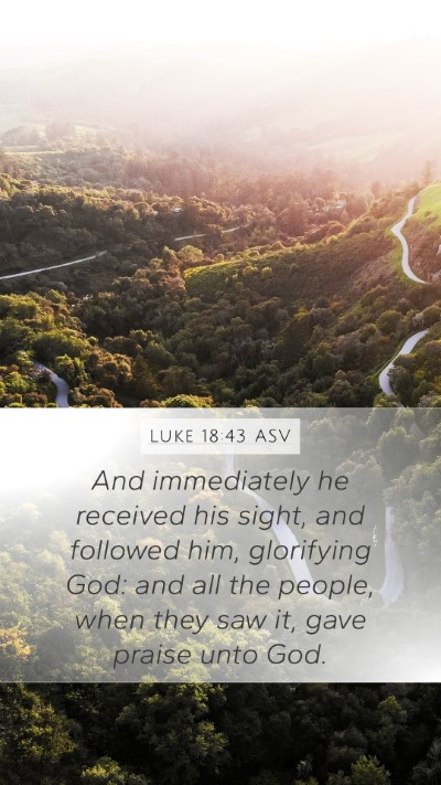 Luke 18:43 ASV Bible Verse Image