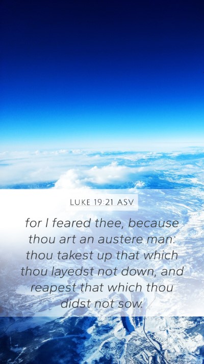 Luke 19:21 ASV Bible Verse Image