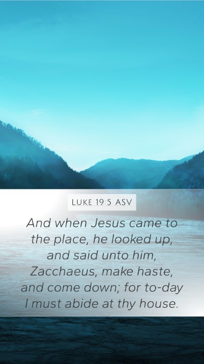 Luke 19:5 ASV Bible Verse Image