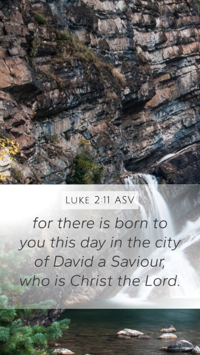 Luke 2:11 ASV Bible Verse Image