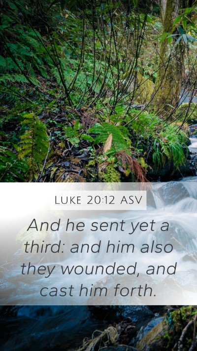 Luke 20:12 ASV Bible Verse Image