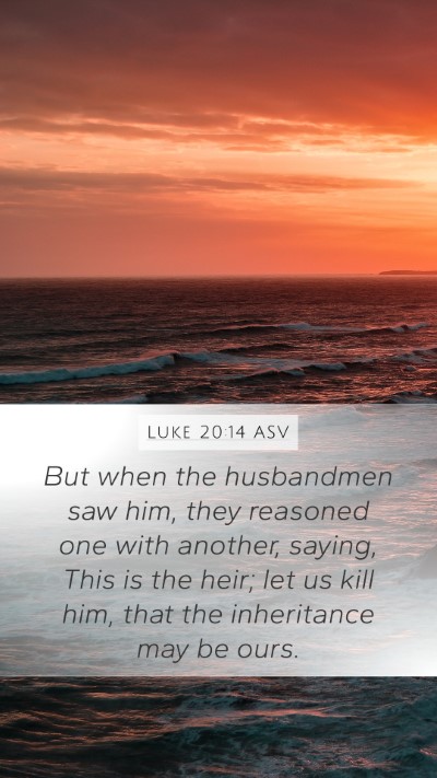 Luke 20:14 ASV Bible Verse Image