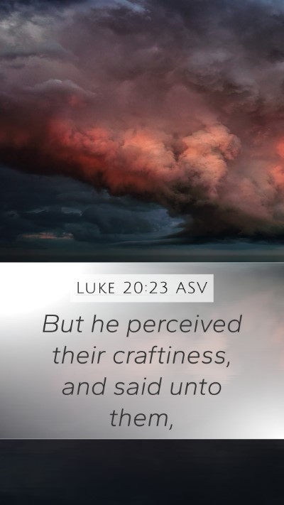 Luke 20:23 ASV Mobile Phone Wallpaper - But he perceived their craftiness, and said unto - Mobile Bible Verse Wallpaper