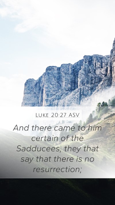 Luke 20:27 ASV Bible Verse Image