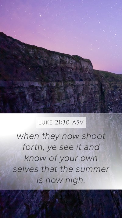 Luke 21:30 ASV Bible Verse Image