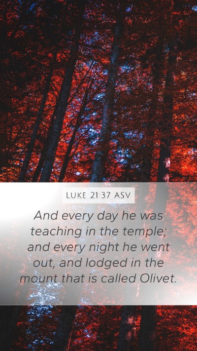Luke 21:37 ASV Bible Verse Image