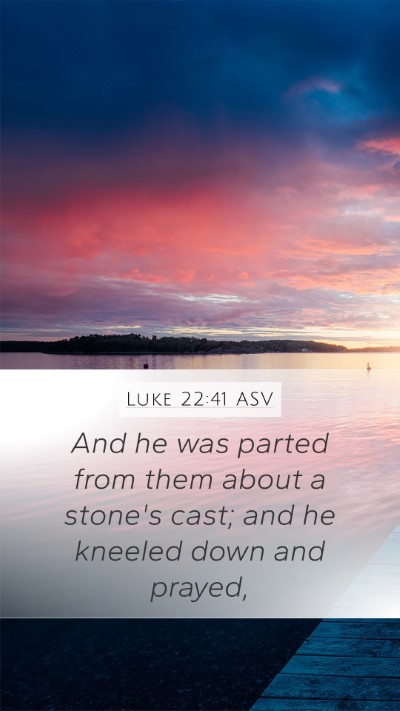 Luke 22:41 ASV Bible Verse Image