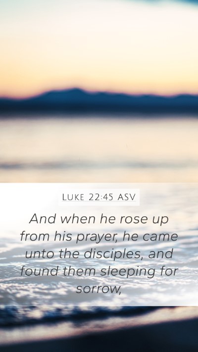 Luke 22:45 ASV Bible Verse Image