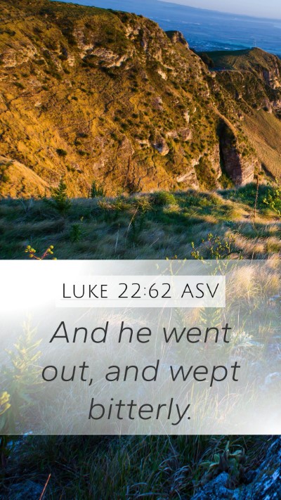 Luke 22:62 ASV Bible Verse Image