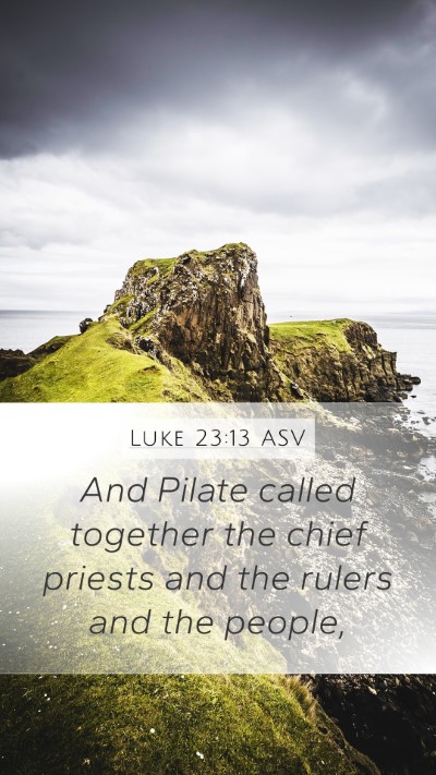 Luke 23:13 ASV Bible Verse Image