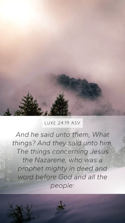 Luke 24:19 ASV Bible Verse Image