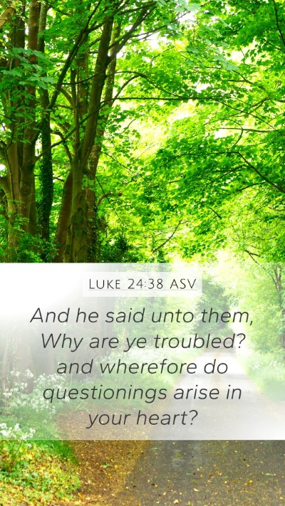 Luke 24:38 ASV Bible Verse Image