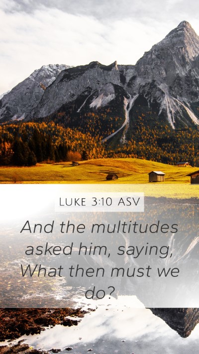 Luke 3:10 ASV Mobile Phone Wallpaper - And the multitudes asked him, saying, What then - Mobile Bible Verse Wallpaper