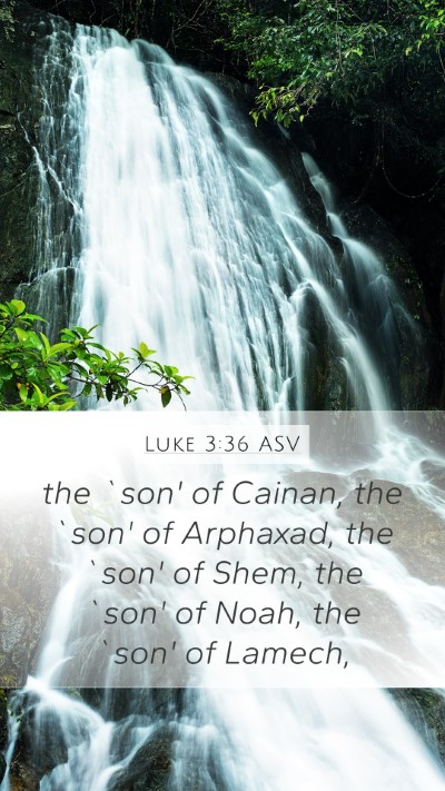 Luke 3:36 ASV Bible Verse Image